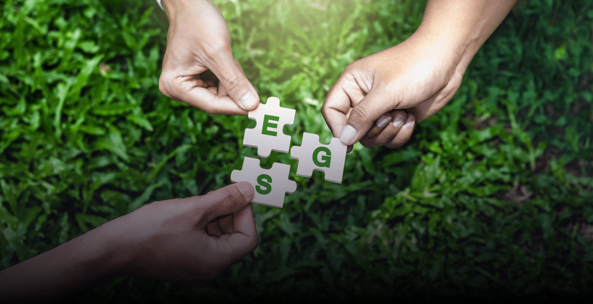 Assurance-Ready ESG A growing imperative-min