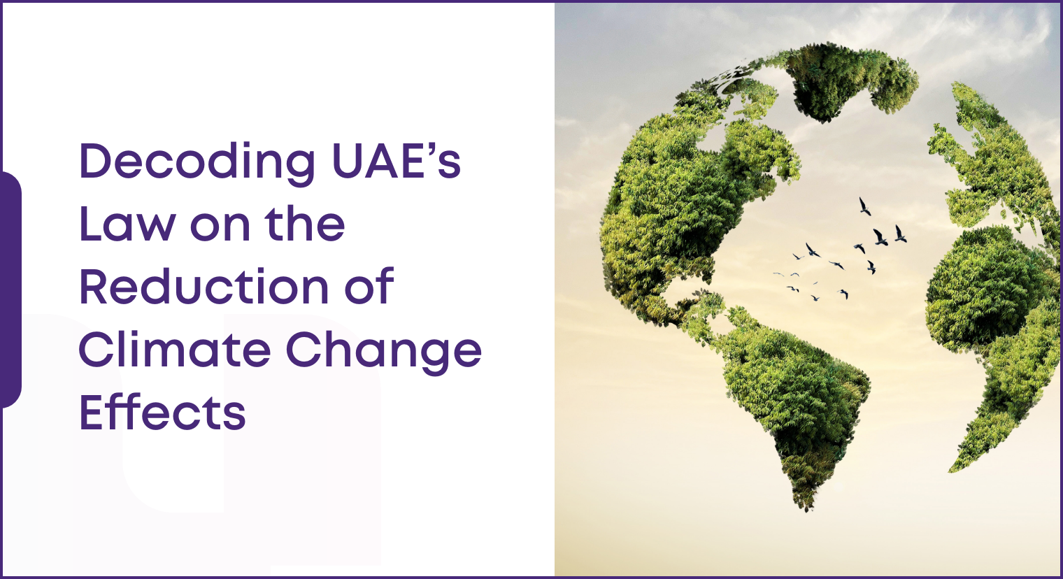 Decoding UAE’s Law on the Reduction of Climate Change Effects