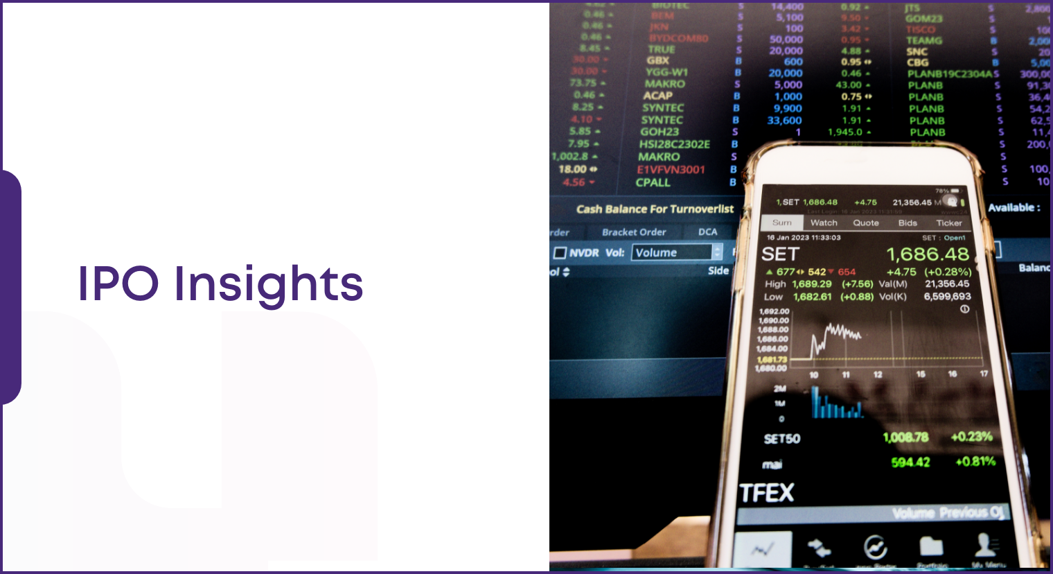 IPO Insights Banner website